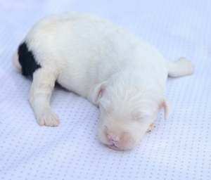 Mini-Cloud