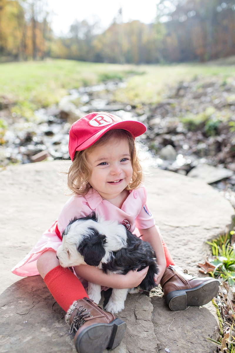 Questions About Purchasing a Sheepadoodle Puppy